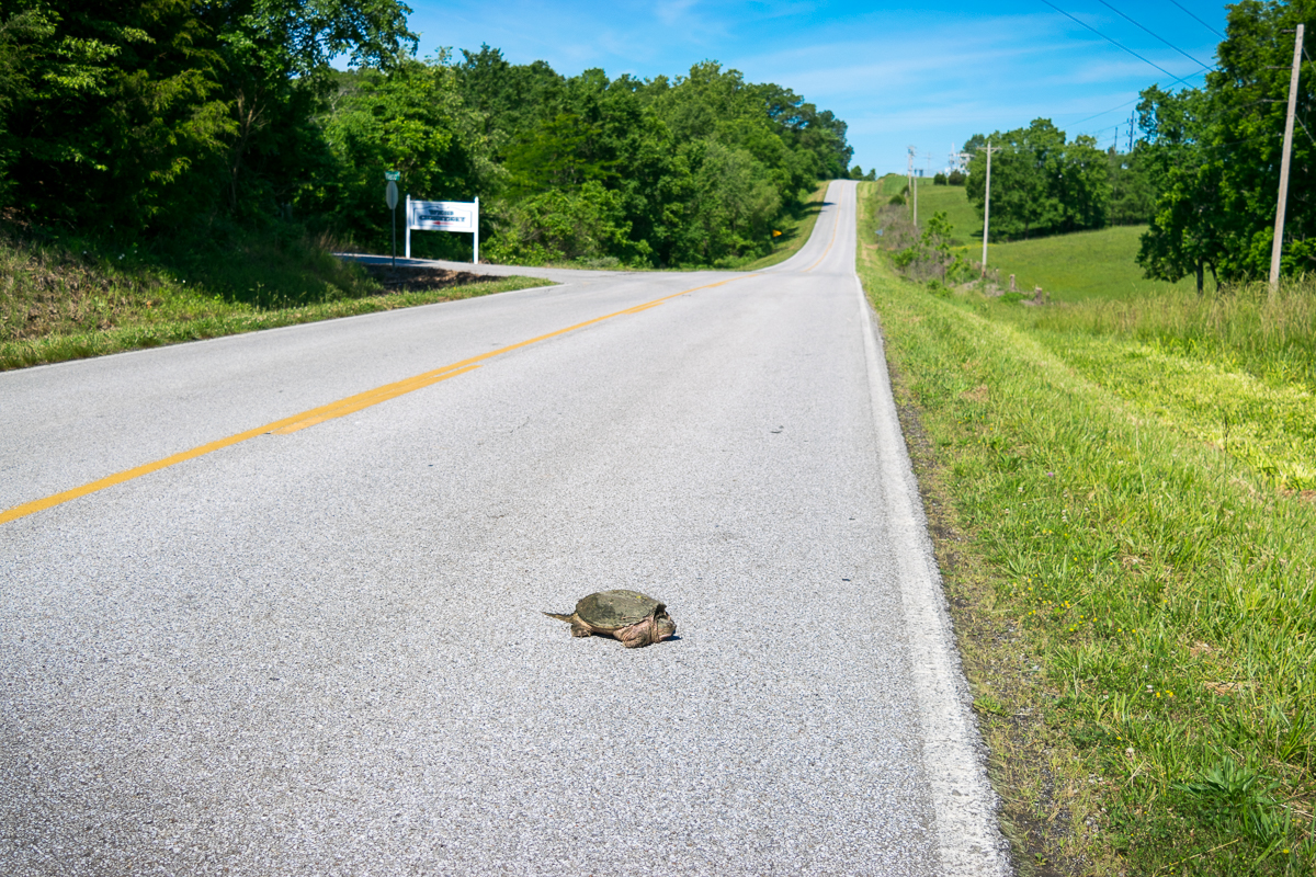 Day 26: 47&nbsp;Miles