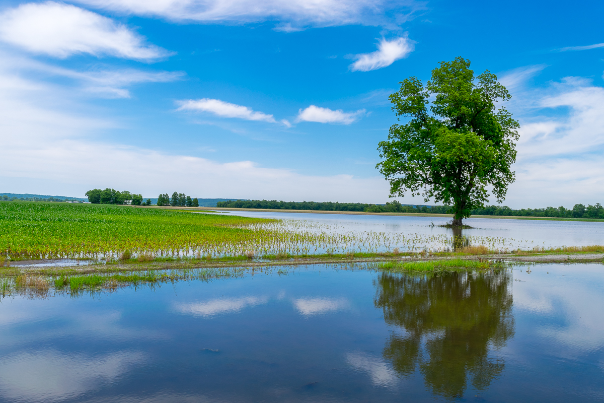 Day 27: 50&nbsp;Miles