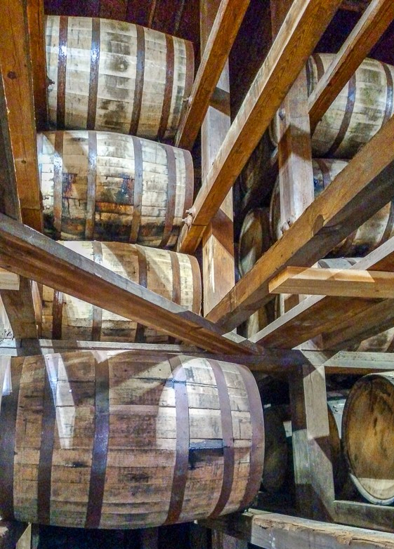 IMG_20170524_123258052-1