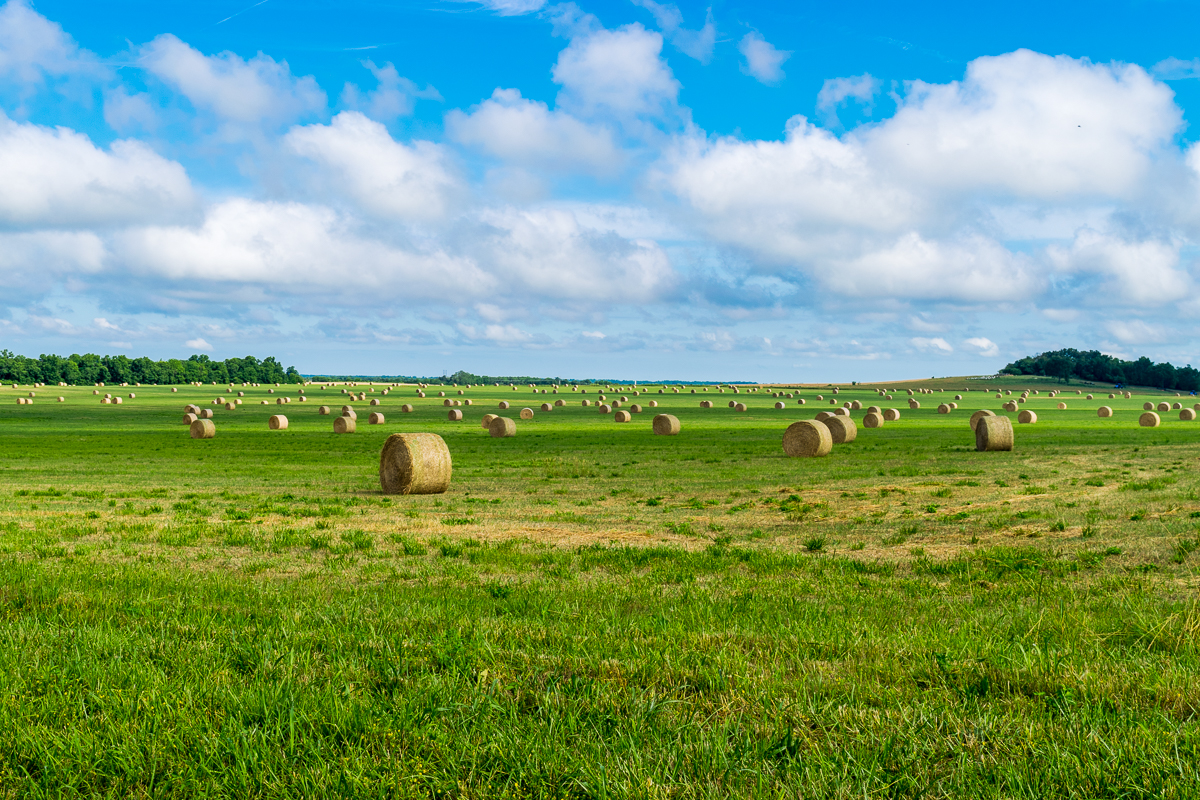 Day 33: 71&nbsp;Miles