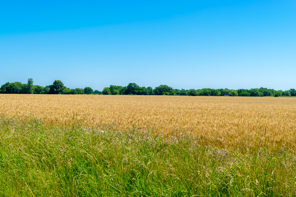 Day 34: 58&nbsp;Miles