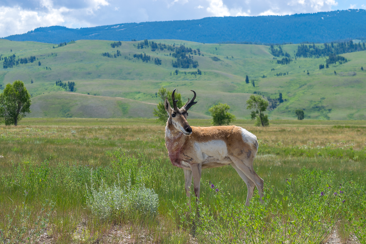 Day 57: 0&nbsp;Miles