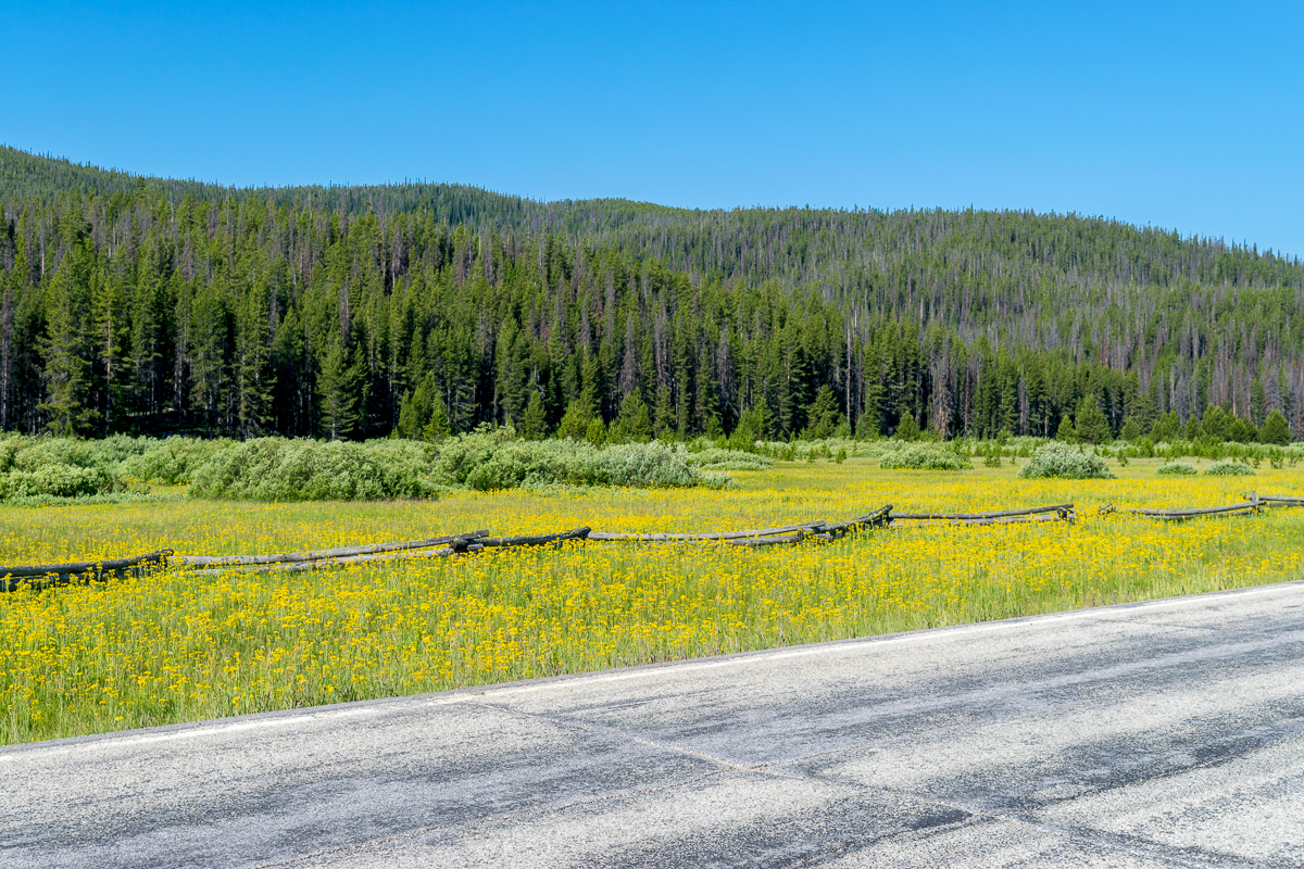 Day 65: 74&nbsp;Miles