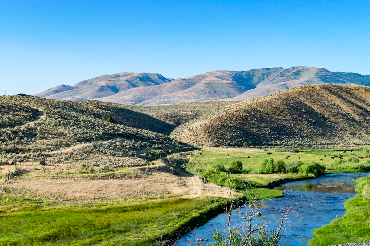 Day 72: 43&nbsp;Miles