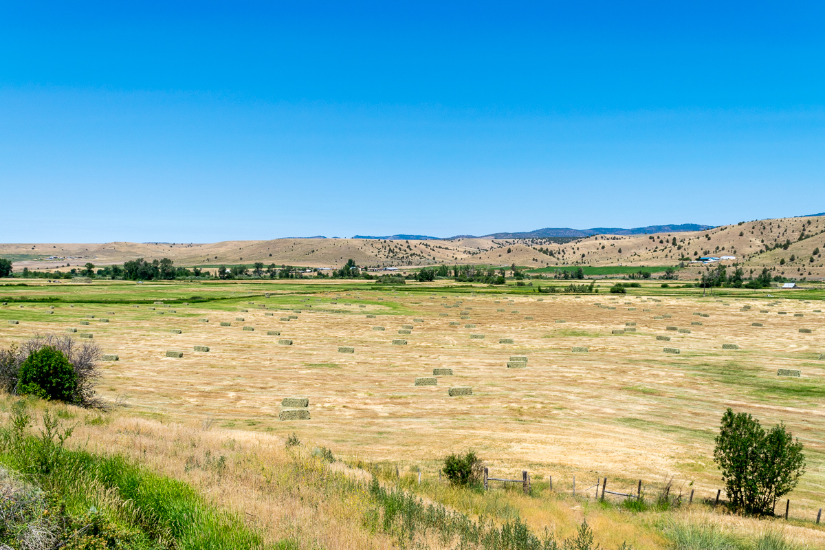 Day 74: 24&nbsp;Miles