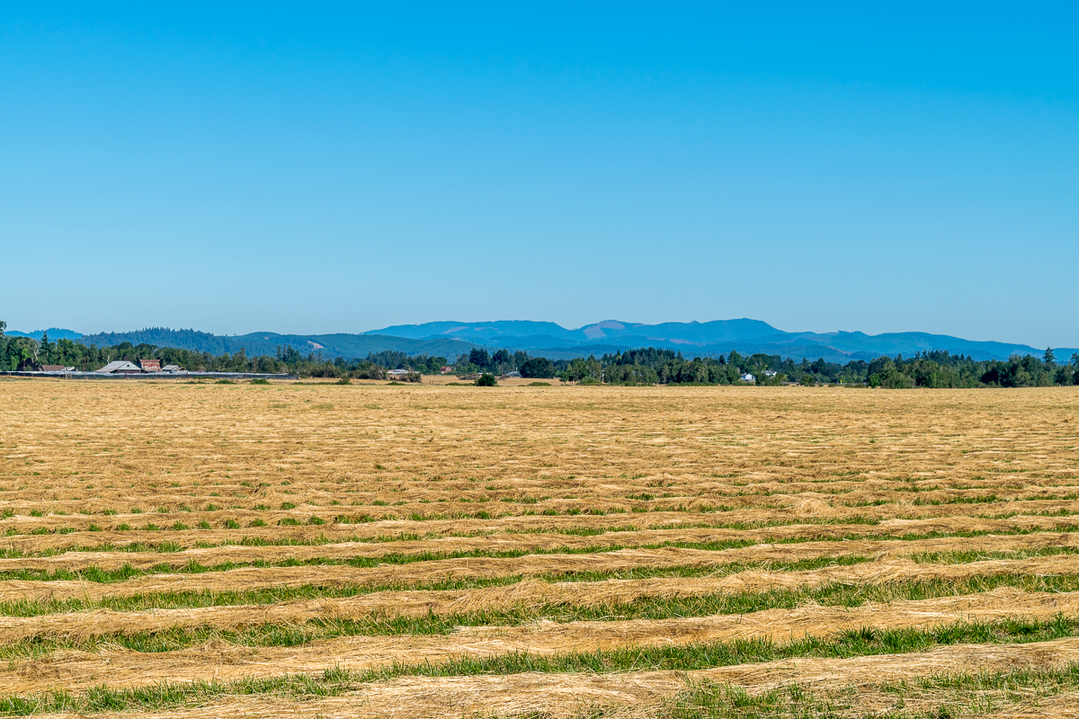 Day 80: 86&nbsp;Miles