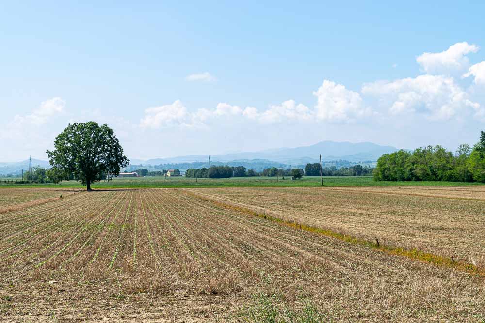 Europe Day 9: 61&nbsp;Miles