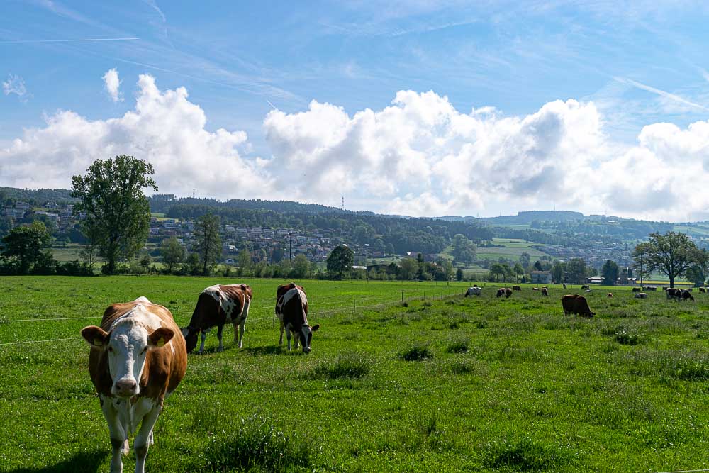 Europe Day 16: 69&nbsp;Miles