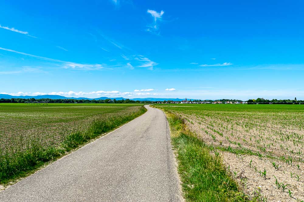 Europe Day 18: 80&nbsp;Miles