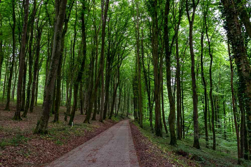 Europe Day 22: 55&nbsp;Miles